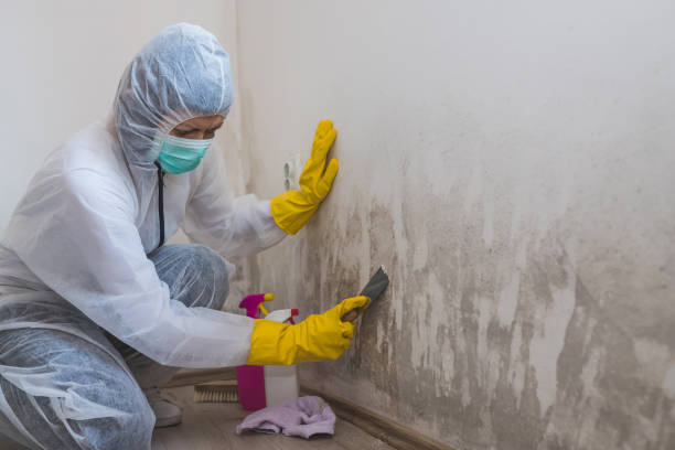 Best Crawl Space Mold Removal  in Augusta, GA