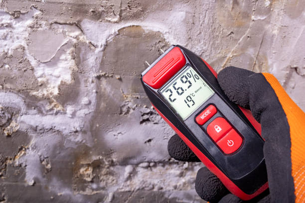 Best Commercial Mold Removal  in Augusta, GA