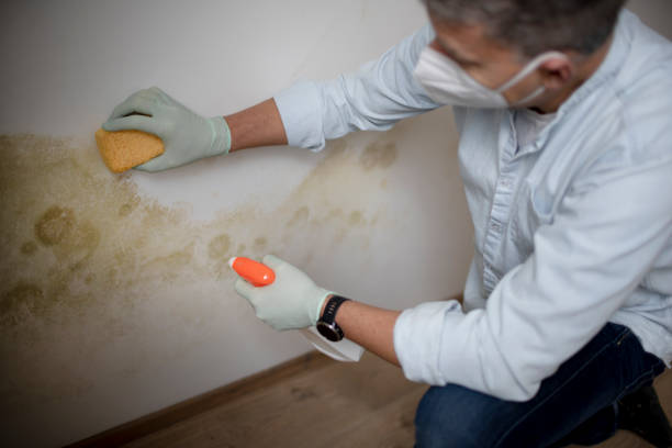 Crawl Space Mold Removal in Augusta, GA